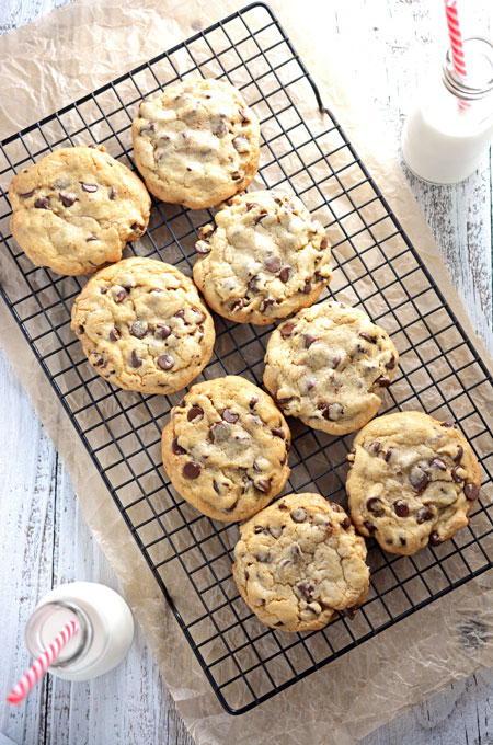 Best Big Fat Chewy Chocolate Chip Cookie