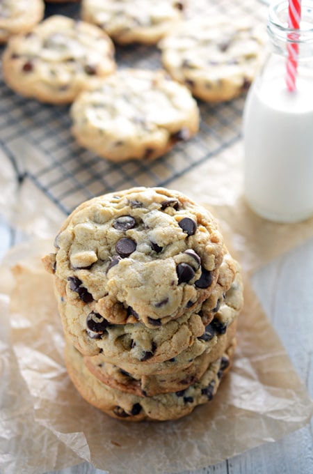 Best Big Fat Chewy Chocolate Chip Cookie