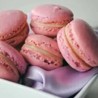 French Macaroons with White Chocolate Lavender Ganache