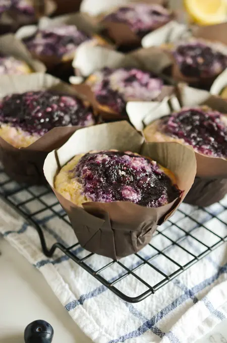 Blueberry Swirl Muffins