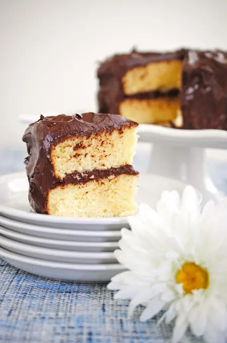 Yellow Cake with Chocolate Frosting