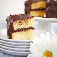 Yellow Cake with Chocolate Frosting