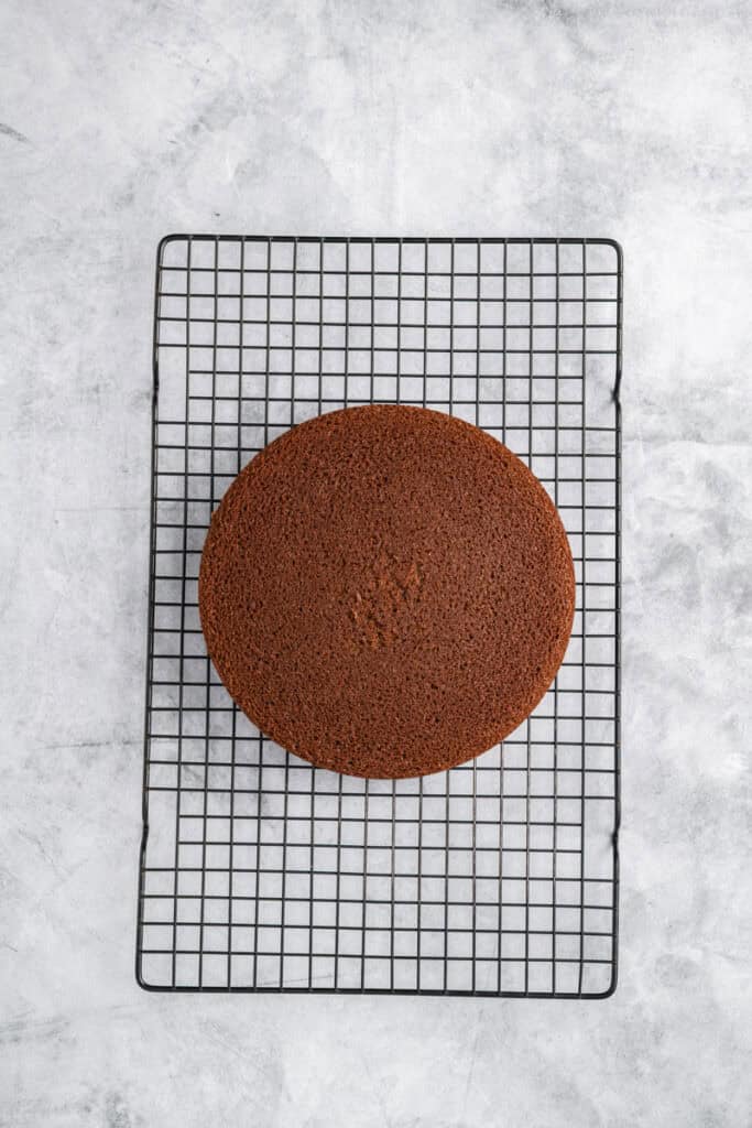 Overhead shot of baked Black Forest Cake layer cooling on cooling rack.