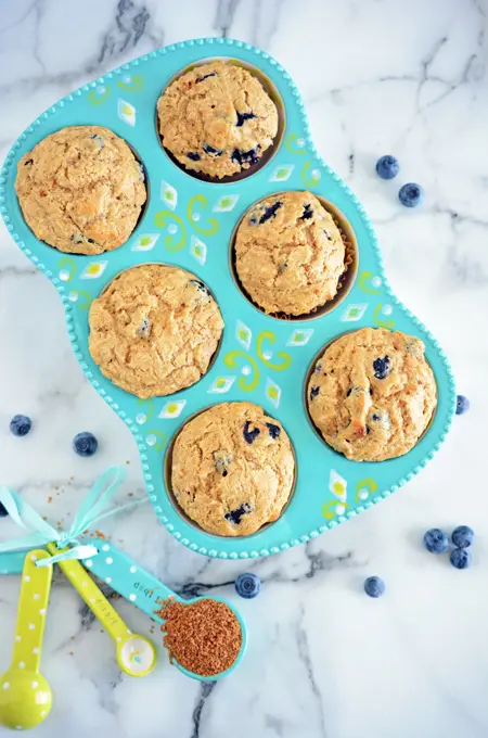 Reduced Sugar Blueberry Muffins