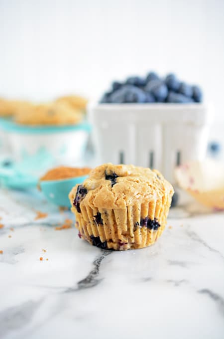 Reduced Sugar Blueberry Muffins