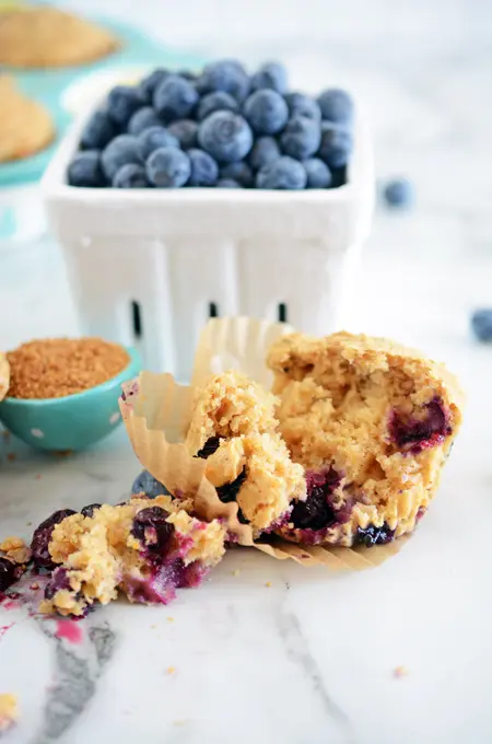 Reduced Sugar Blueberry Muffins