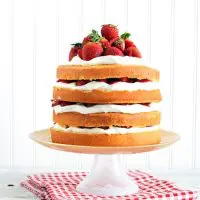 Strawberry Shortcake