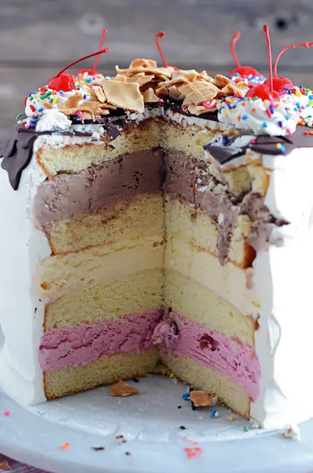 Epic Neapolitan Ice Cream Cake