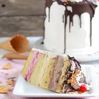 Grandmas Neapolitan Ice Cream Cake