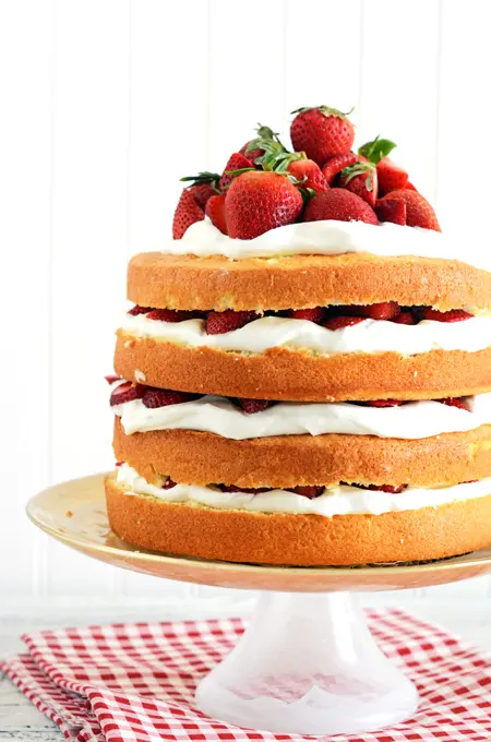 Strawberry Shortcake