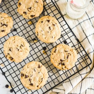 Peanut Butter Chocolate Chip Cookies