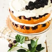 Blackberry Lavender Pound Cake