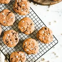 Chocolaty Hot Cocoa Cookies