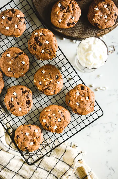 Chocolaty Hot Cocoa Cookies