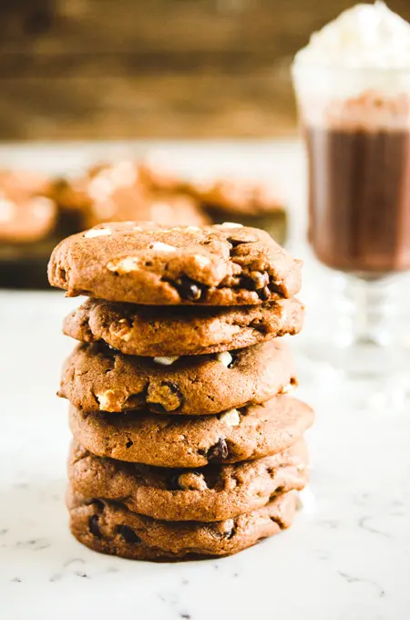 Chocolaty Hot Cocoa Cookies