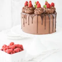 Chocolate Raspberry Cake with Whipped Ganache Frosting