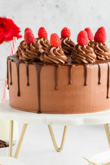Chocolate Raspberry Cake with Whipped Ganache Frosting cover image.