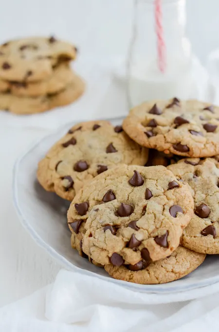 Best Big Fat Chewy Chocolate Chip Cookie