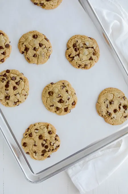 Best Big Fat Chewy Chocolate Chip Cookie