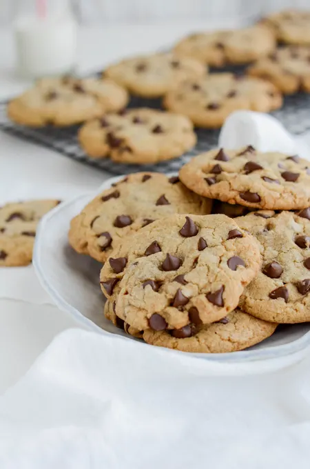 Best Big Fat Chewy Chocolate Chip Cookie