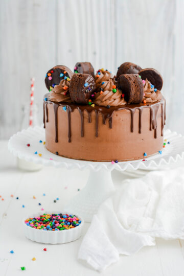 Cosmic Brownie Layer Cake on cake pedestal.