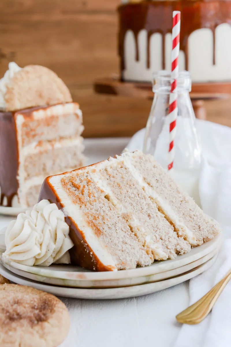 Close up of Snickerdoodle Layer Cake sliced on its side.