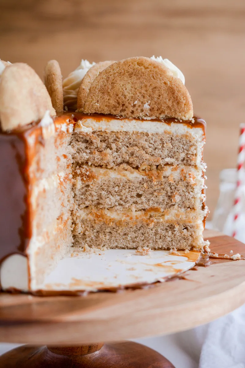 Close up shot of Snickerdoodle Layer Cake cake layers.