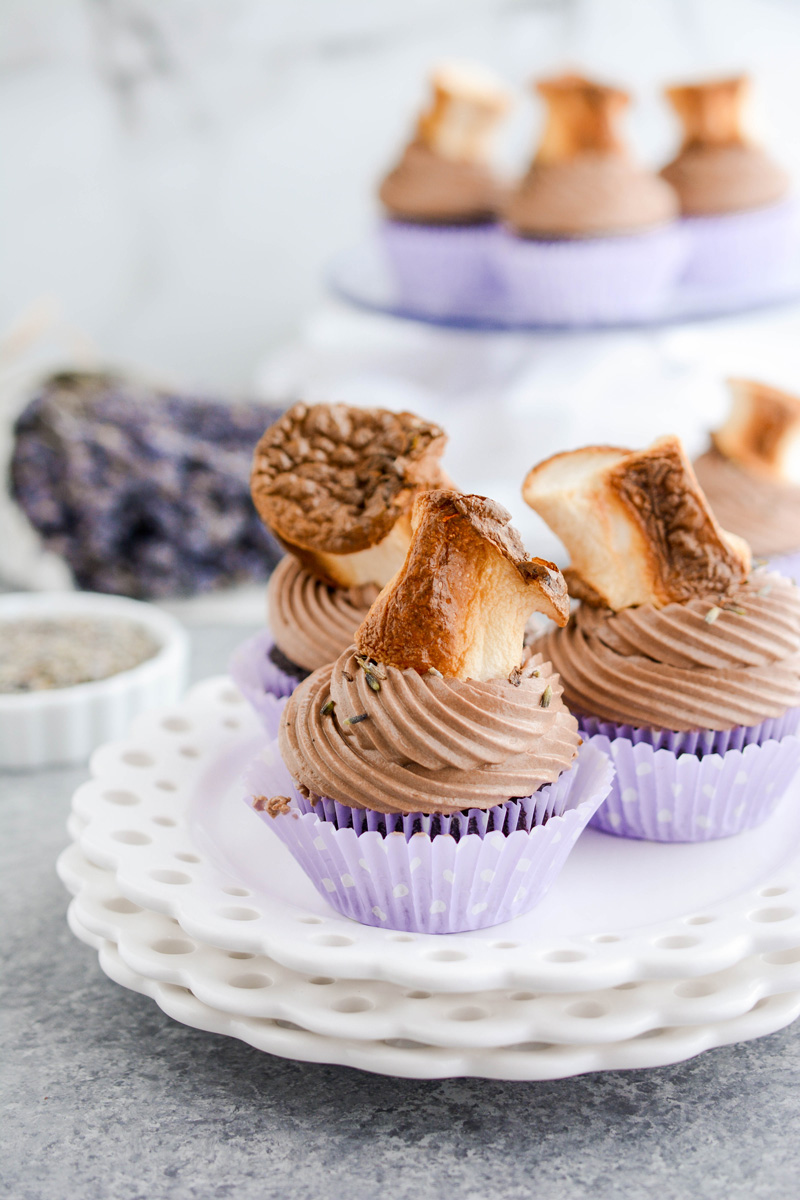 Close up of Hot Chocolate Lavender Cupcakes on white plate.