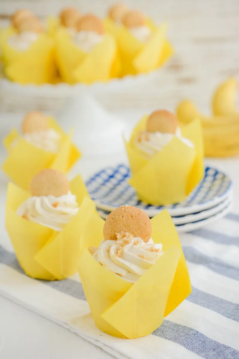 Wide open shot of Banana Cream Pie Cupcakes.