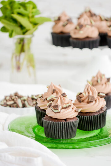 Chocolate Mint Cupcakes on a green plate.