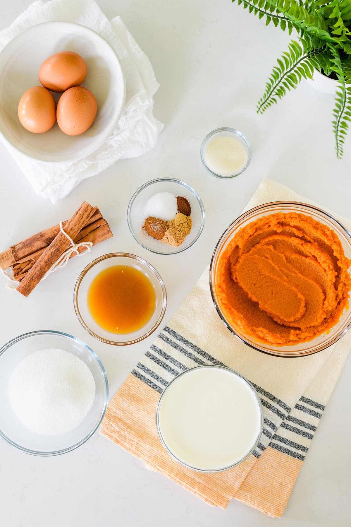Overhead shot of ingredients for Pumpkin Pie with Gingersnap Crust.
