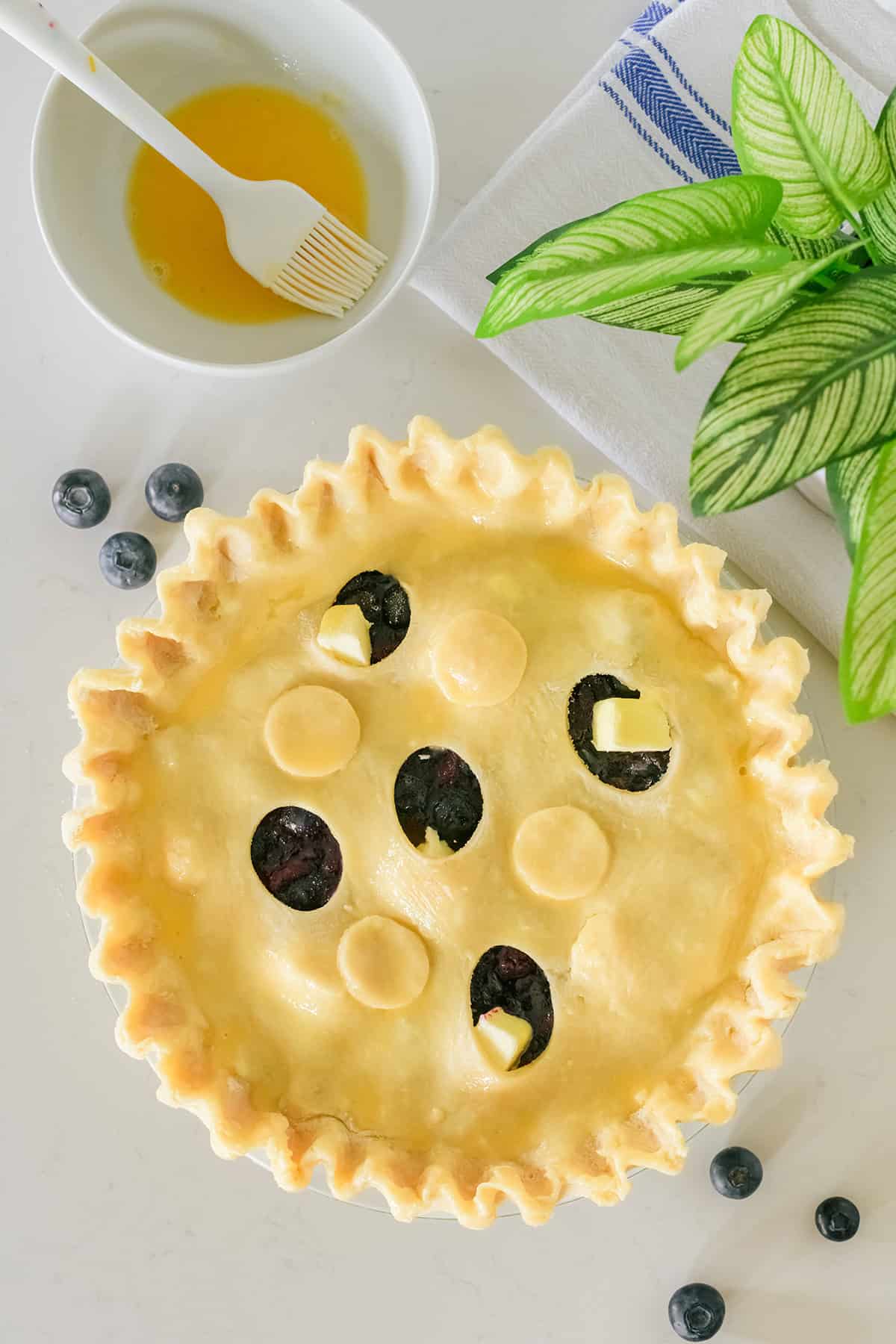 Overhead shot of pie dough with egg wash for Blueberry Pie.