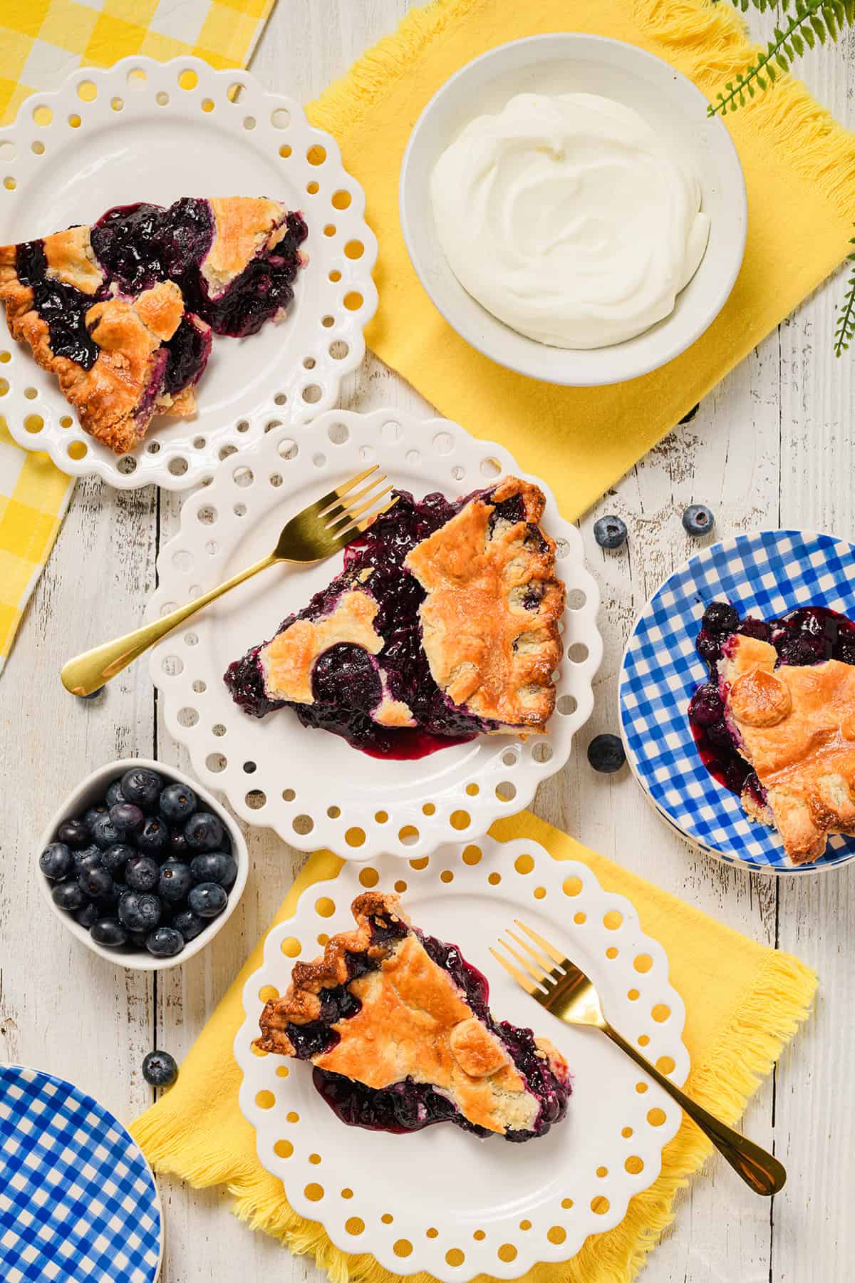 Overhead spread of sliced blueberry pie.