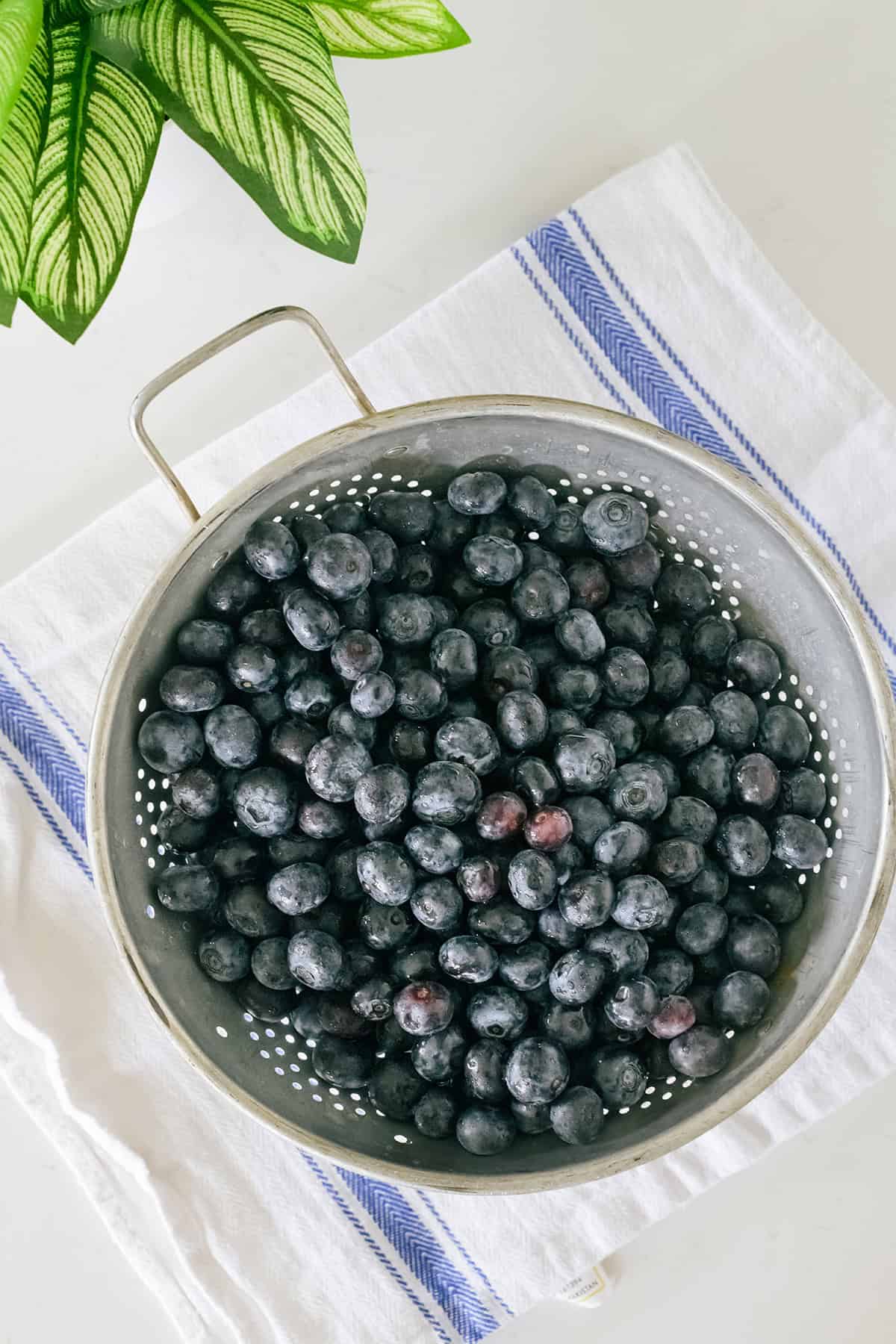 Overhead shot of blueberries for Blueberry Pie.