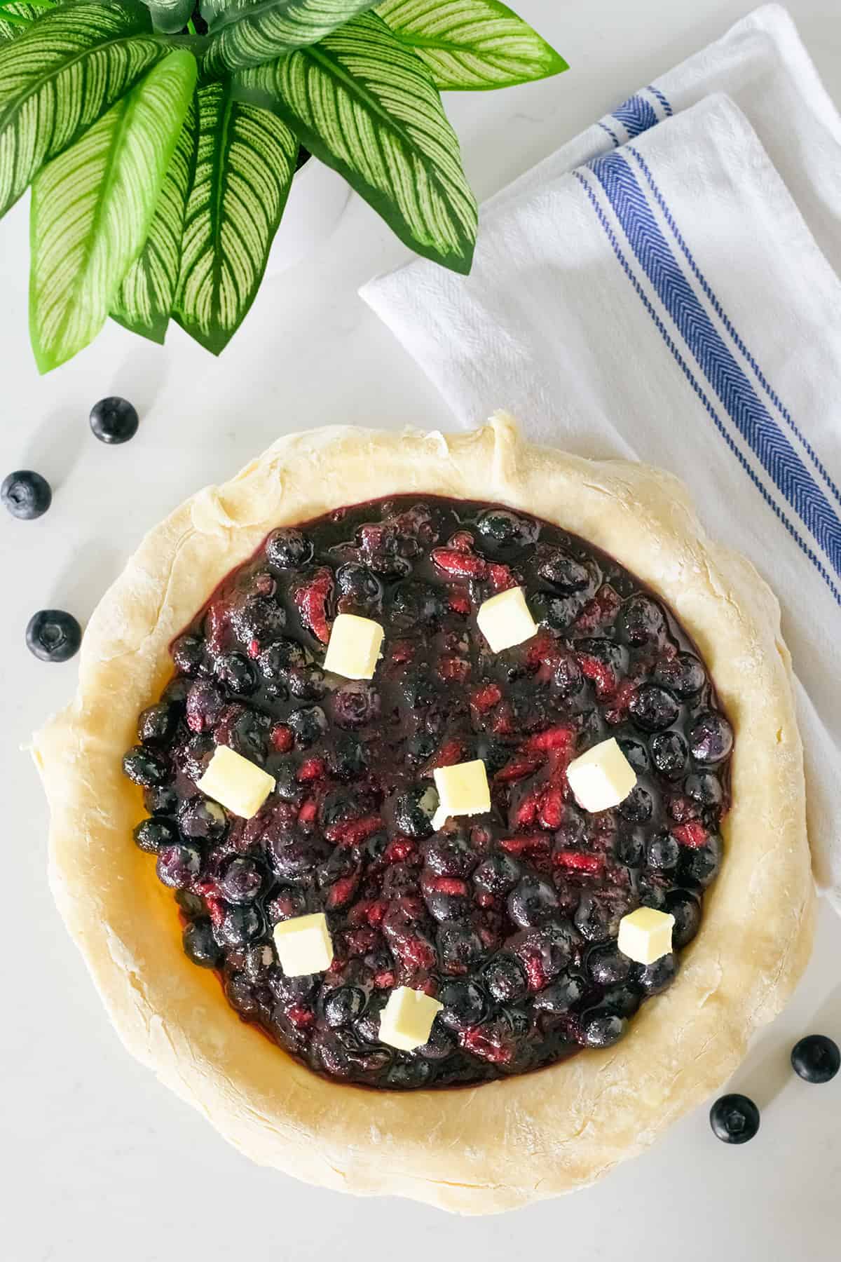 Overhead shot of pie filling in pie dough for Blueberry Pie.