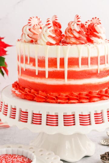 Chocolate Peppermint Layer Cake cover image.