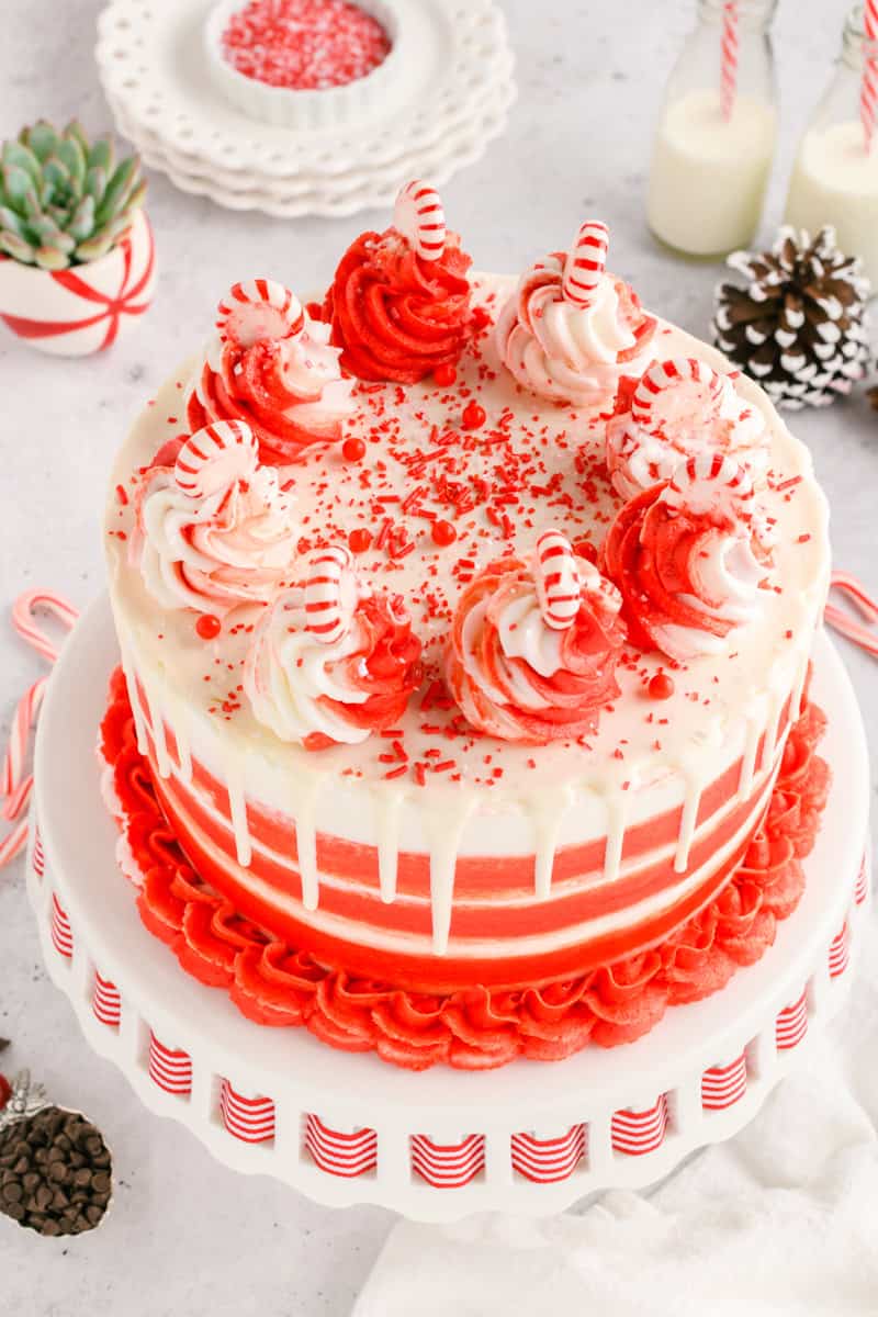 Angled shot of Chocolate Peppermint Layer Cake on cake stand.