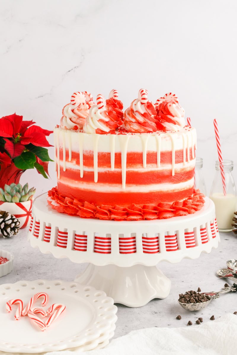 Wide shot of Chocolate Peppermint Layer Cake on cake stand with festive styling.