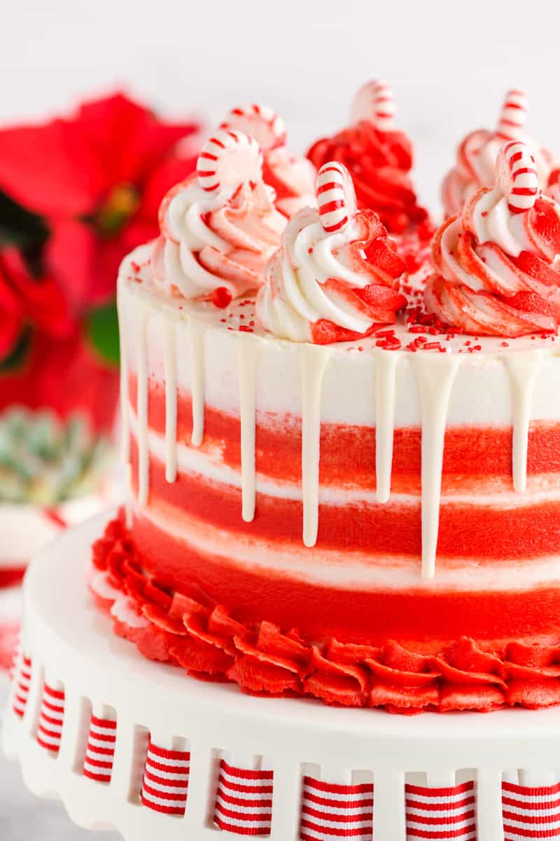 Close up shot of white chocolate drip on Chocolate Peppermint Layer Cake.