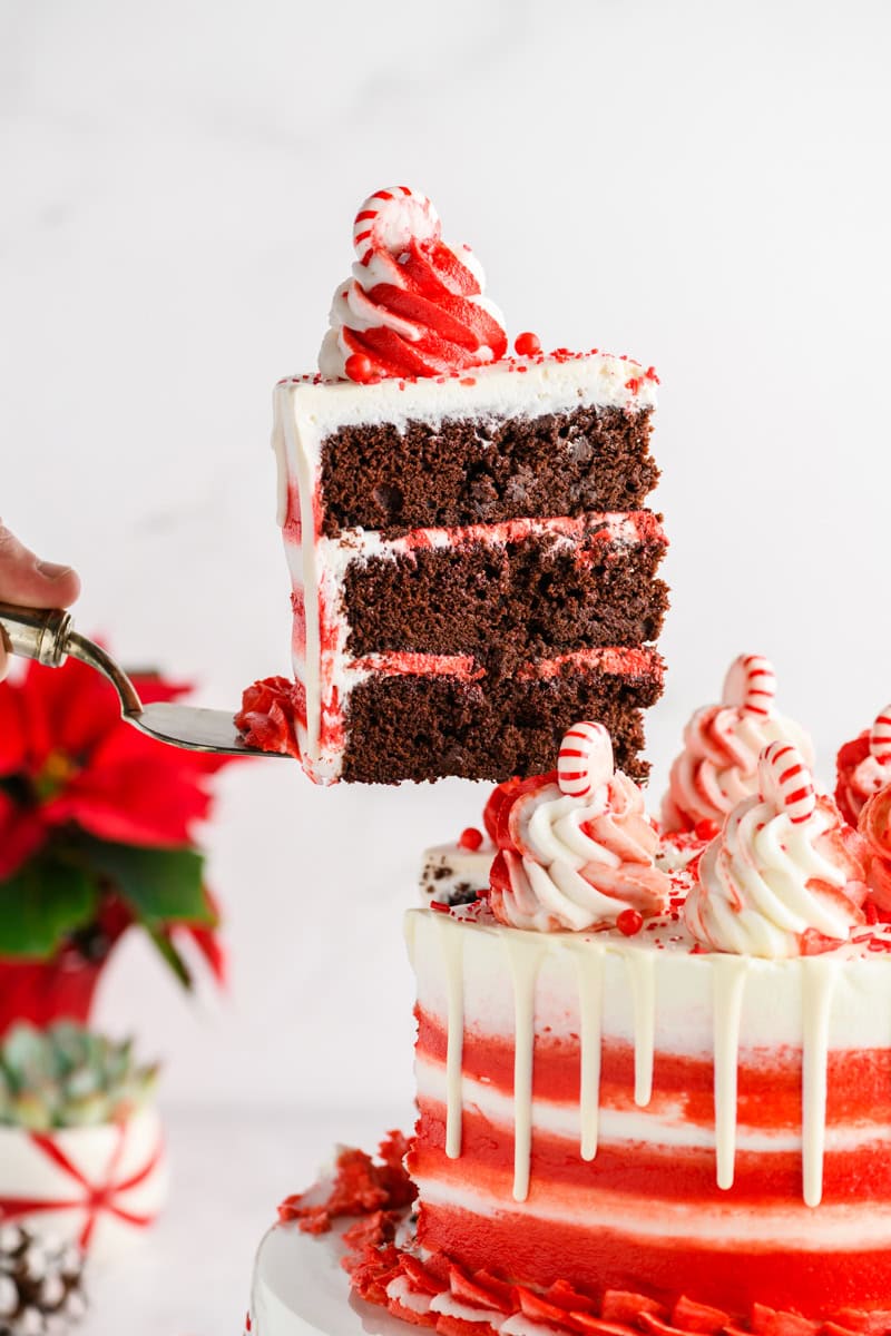 Shot of cake slice coming out of Chocolate Peppermint Layer Cake.