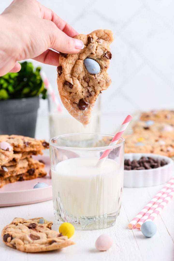 Easy Easter Chocolate Chip Cookie being dipped in milk.