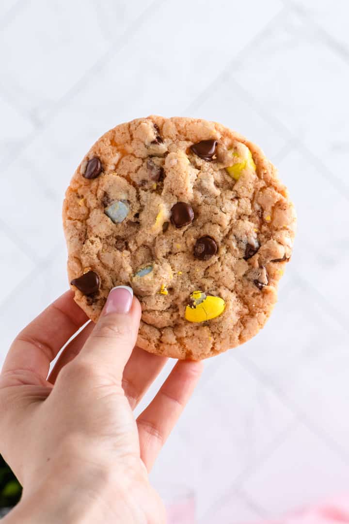 Macro shot of Easy Easter Chocolate Chip Cookie in hand.