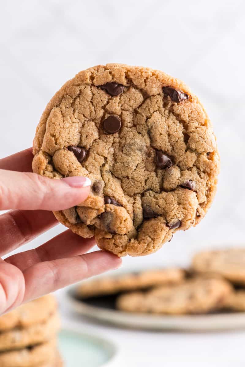 Close up of hand holding one Best Big Fat Chewy Chocolate Chip Cookie