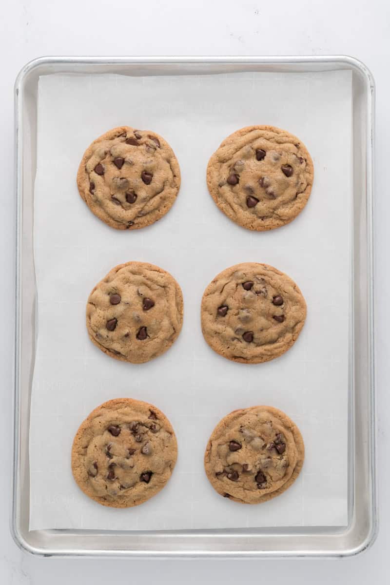 Overhead shot of baked Best Big Fat Chewy Chocolate Chip Cookies in cookie sheet.