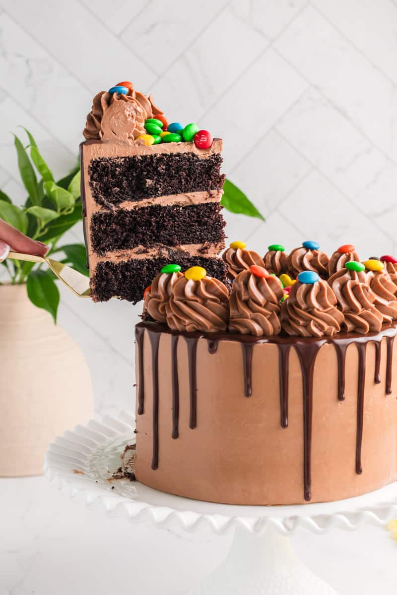 Head on shot of cake slice being lifted from the M&M Chocolate Cake.