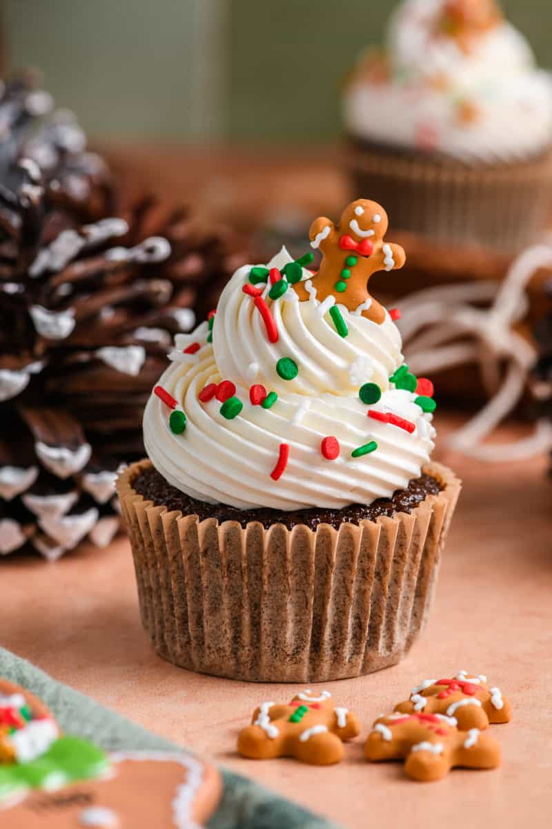 Close up shot of one Gingerbread Cupcake.